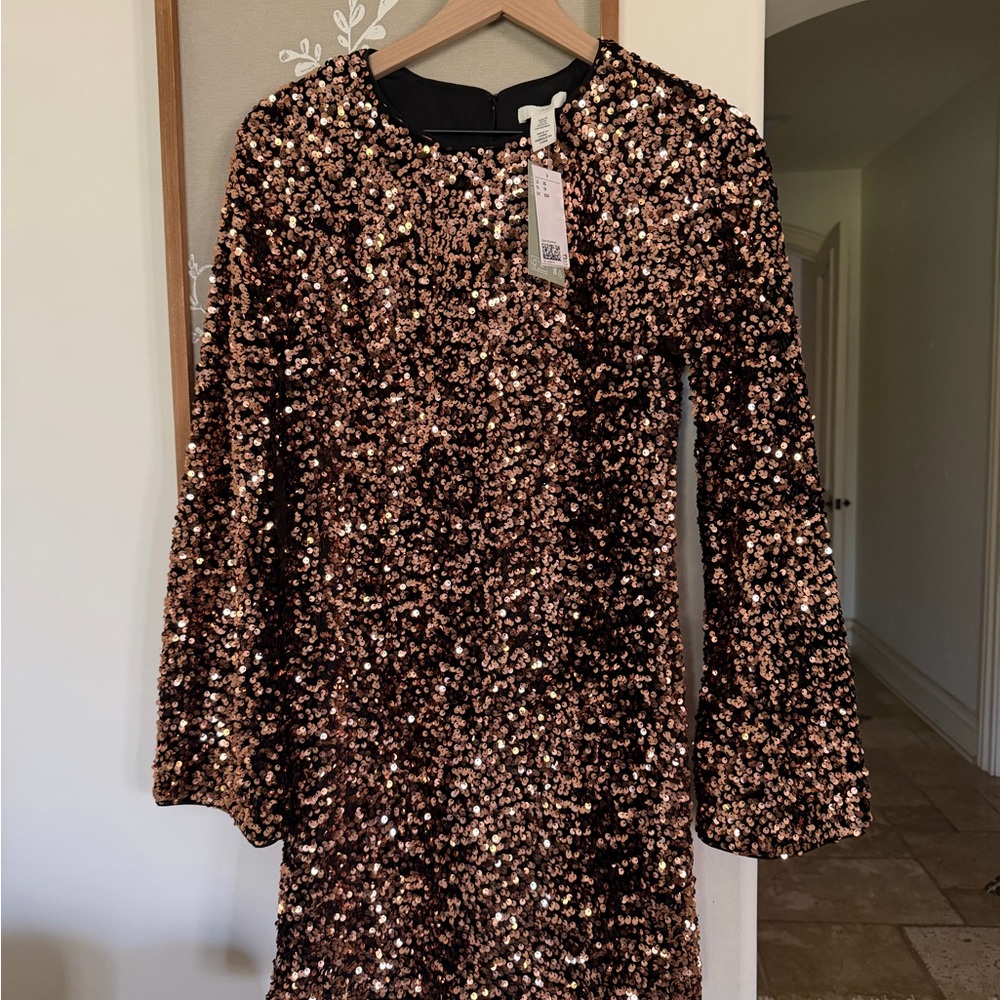 Elegant Long Sleeve Sequin Dress